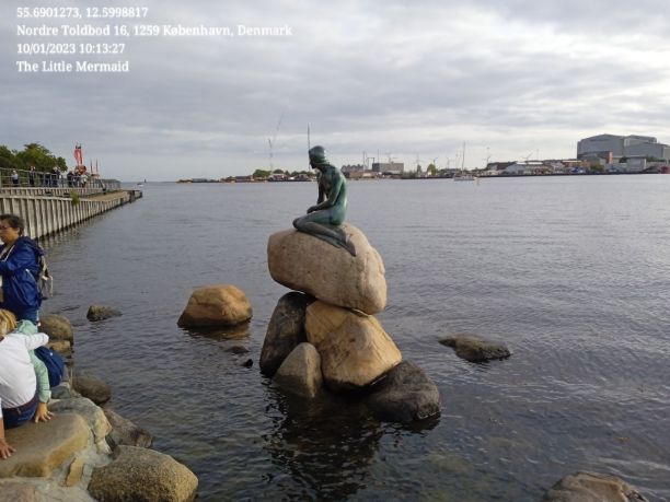 The Little Mermaid